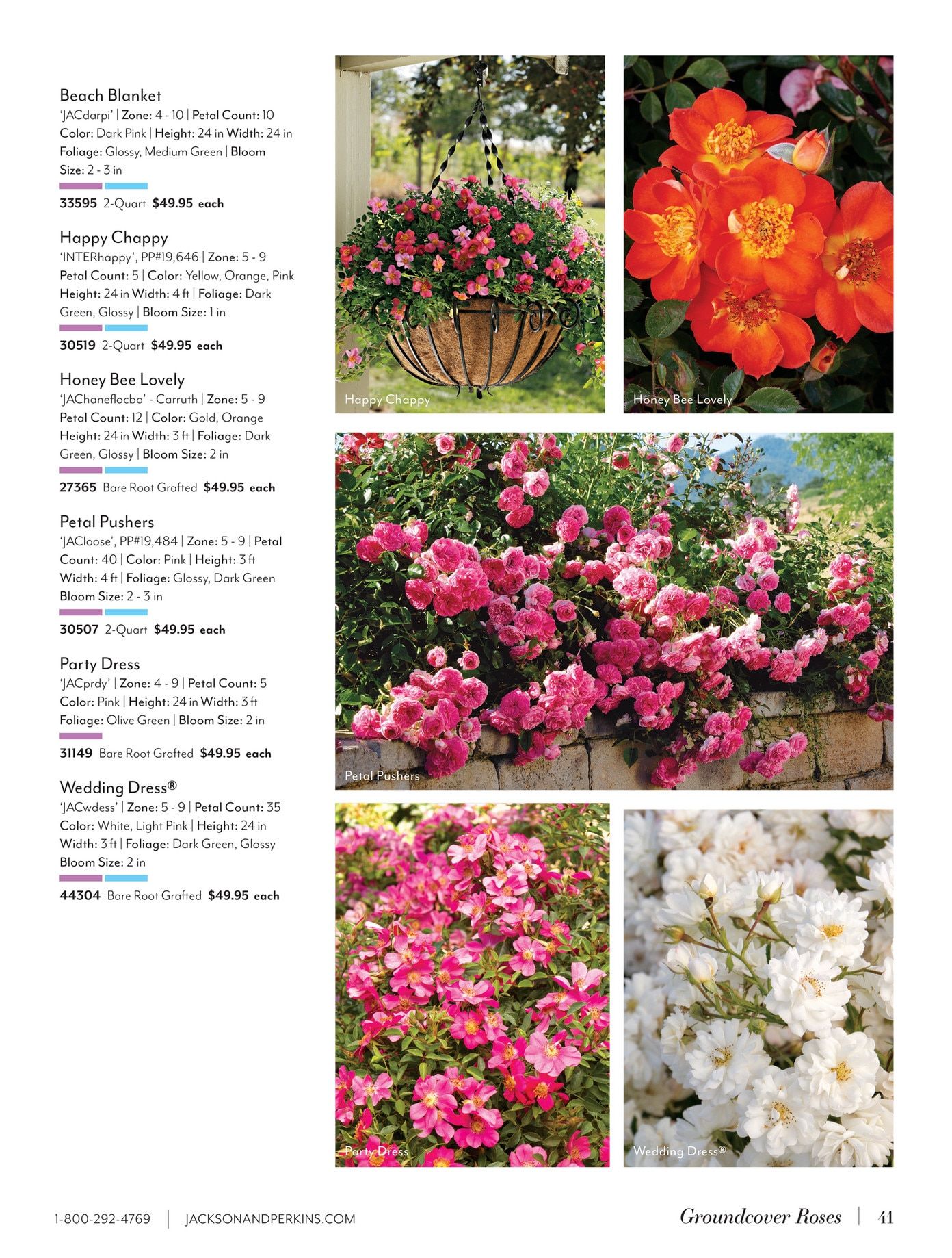 Jackson & Perkins Spring Garden Catalog Weekly Ad January 15, 2026 - January 14, 2027