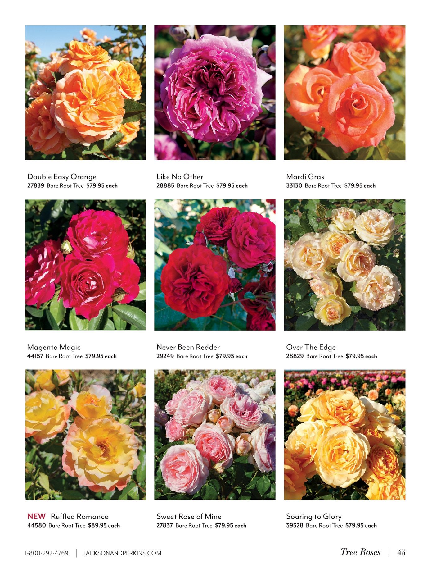 Jackson & Perkins Spring Garden Catalog Weekly Ad January 15, 2026 - January 14, 2027