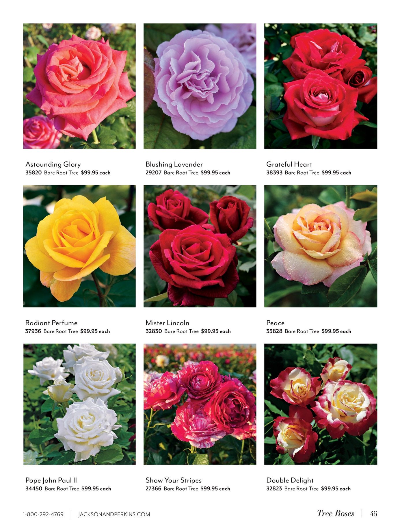 Jackson & Perkins Spring Garden Catalog Weekly Ad January 15, 2026 - January 14, 2027