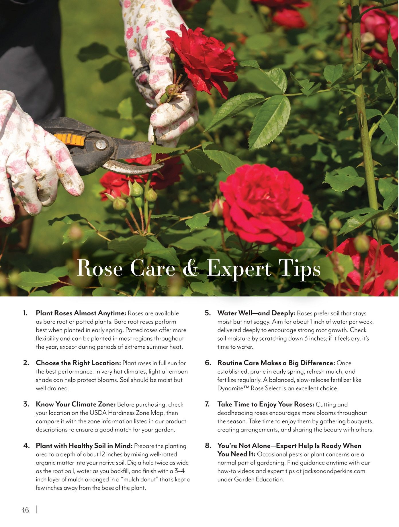 Jackson & Perkins Spring Garden Catalog Weekly Ad January 15, 2026 - January 14, 2027