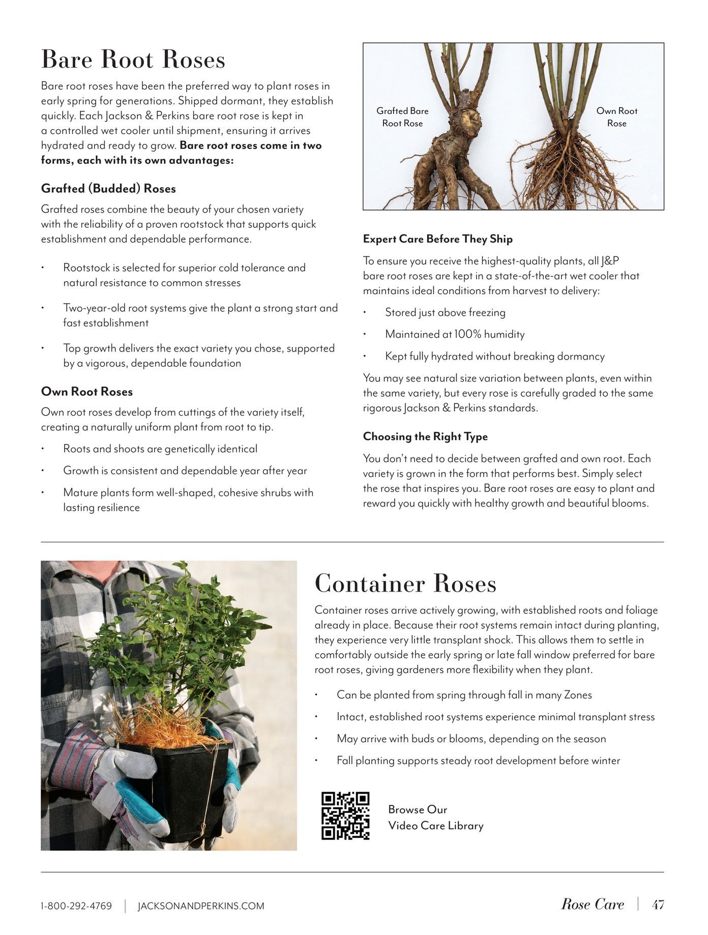 Jackson & Perkins Spring Garden Catalog Weekly Ad January 15, 2026 - January 14, 2027