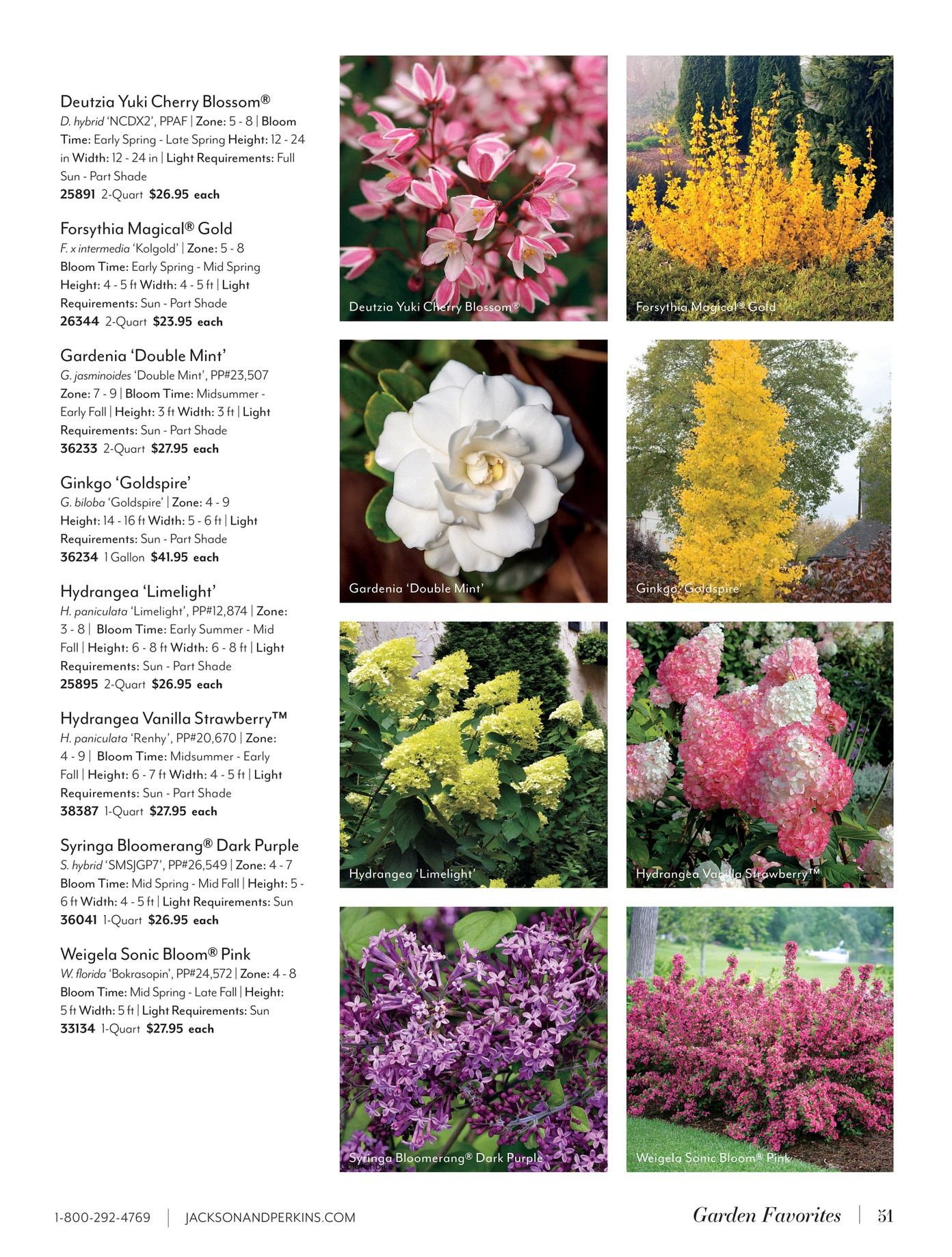 Jackson & Perkins Spring Garden Catalog Weekly Ad January 15, 2026 - January 14, 2027