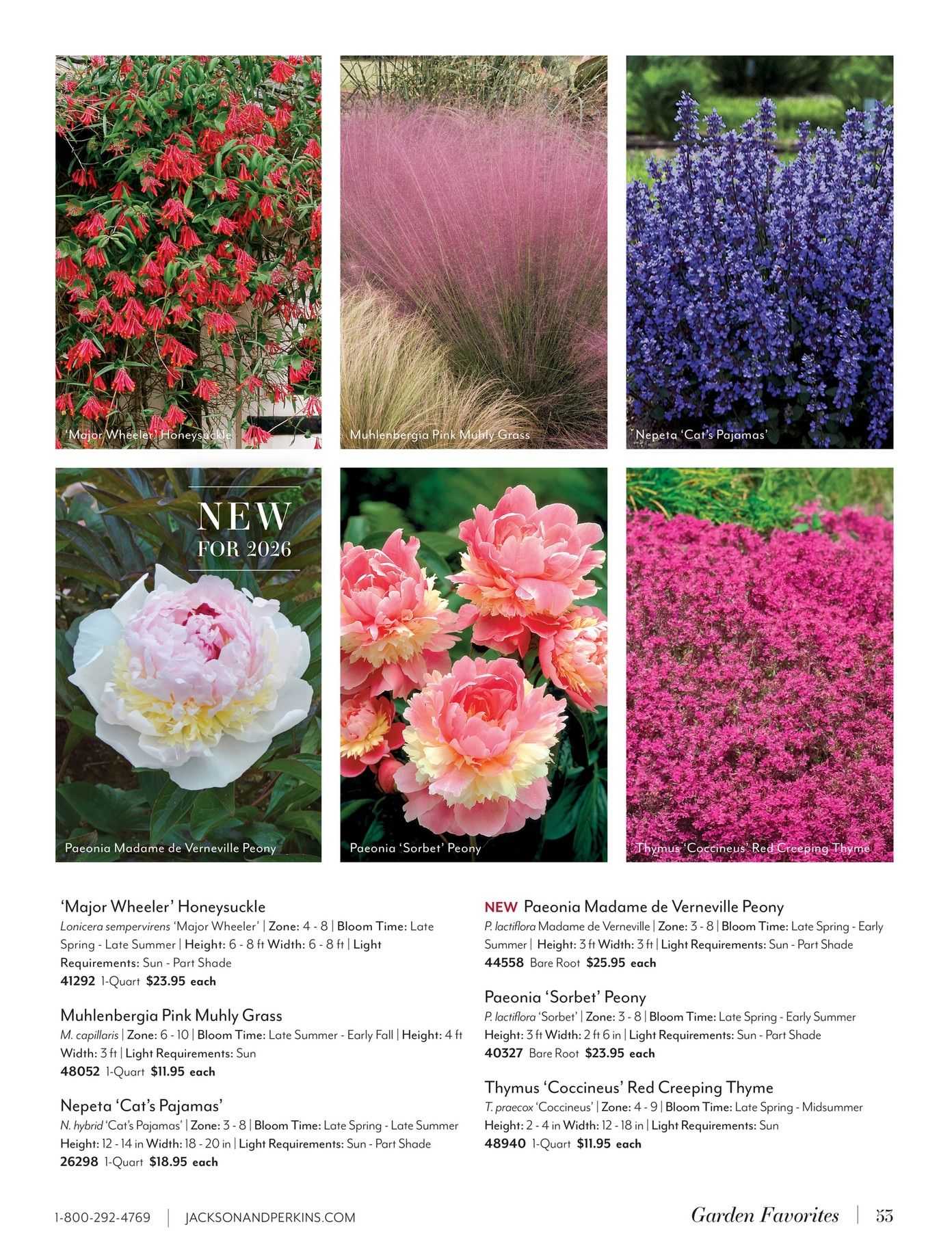 Jackson & Perkins Spring Garden Catalog Weekly Ad January 15, 2026 - January 14, 2027