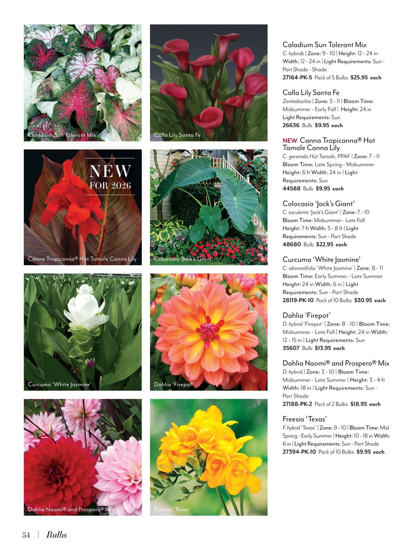 Jackson & Perkins Spring Garden Catalog Weekly Ad January 15, 2026 - January 14, 2027