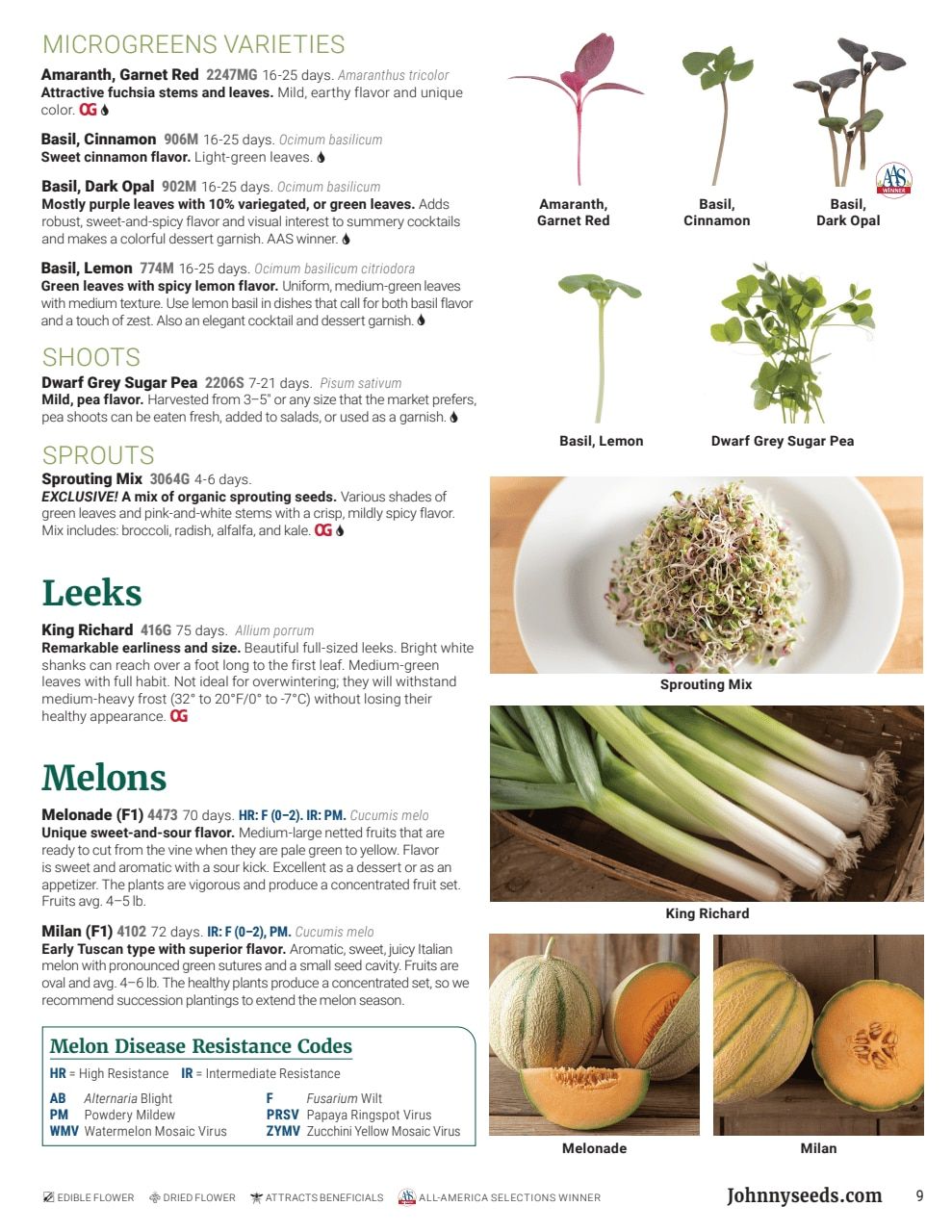 Johnny's Selected Seeds Domestic Wholesale Catalog Weekly Ad January 1 - December 31, 2026