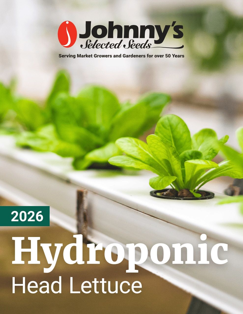 Johnny's Selected Seeds Hydroponic Head Lettuce Catalog Weekly Ad January 1 - December 31, 2026