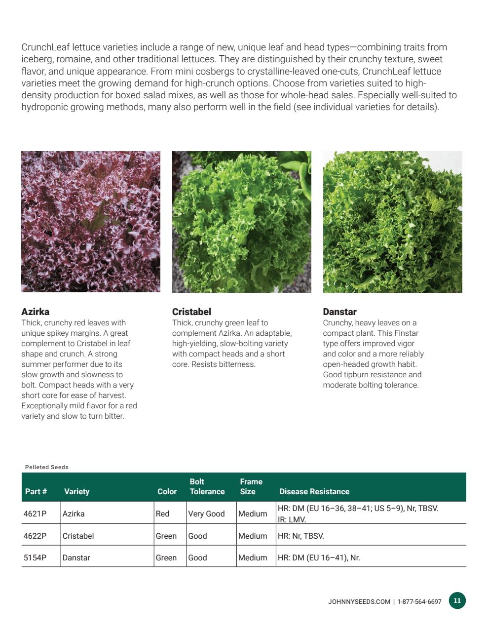 Johnny's Selected Seeds Hydroponic Head Lettuce Catalog Weekly Ad January 1 - December 31, 2026