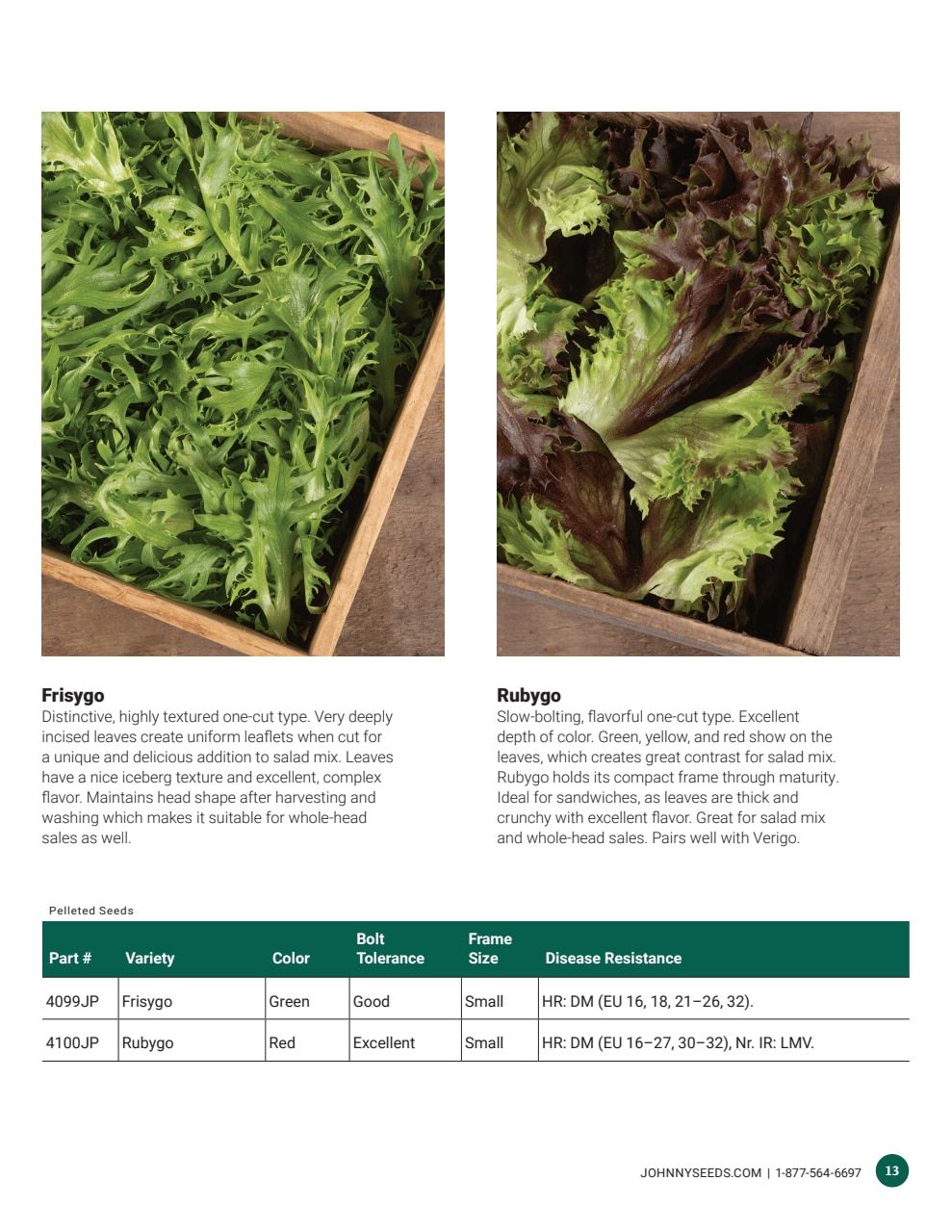 Johnny's Selected Seeds Hydroponic Head Lettuce Catalog Weekly Ad January 1 - December 31, 2026
