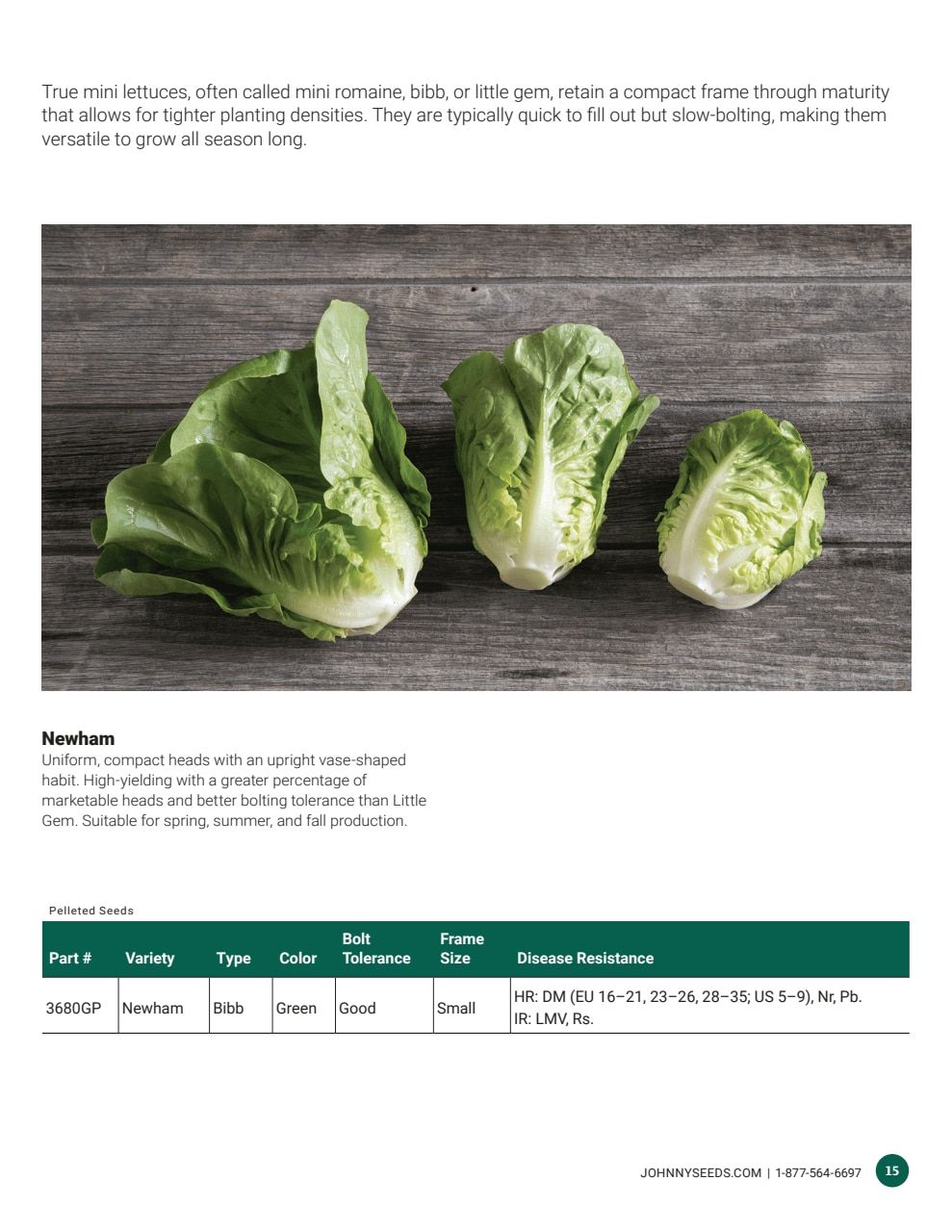 Johnny's Selected Seeds Hydroponic Head Lettuce Catalog Weekly Ad January 1 - December 31, 2026