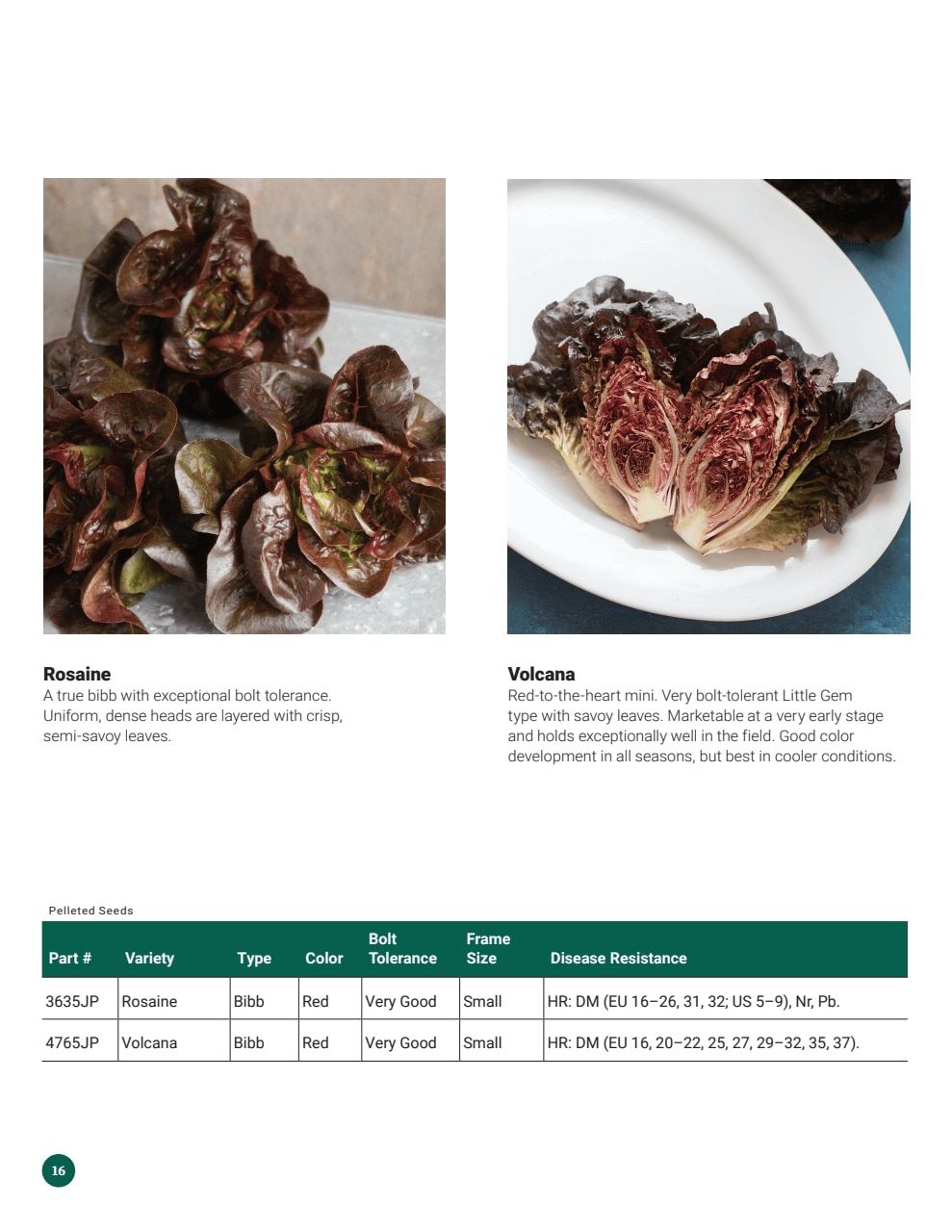 Johnny's Selected Seeds Hydroponic Head Lettuce Catalog Weekly Ad January 1 - December 31, 2026