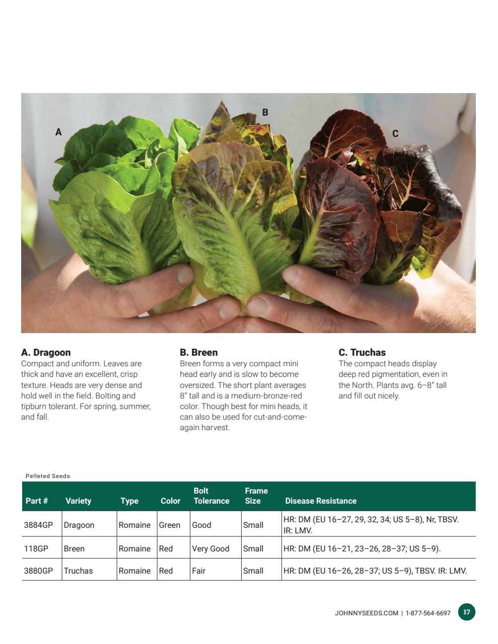 Johnny's Selected Seeds Hydroponic Head Lettuce Catalog Weekly Ad January 1 - December 31, 2026