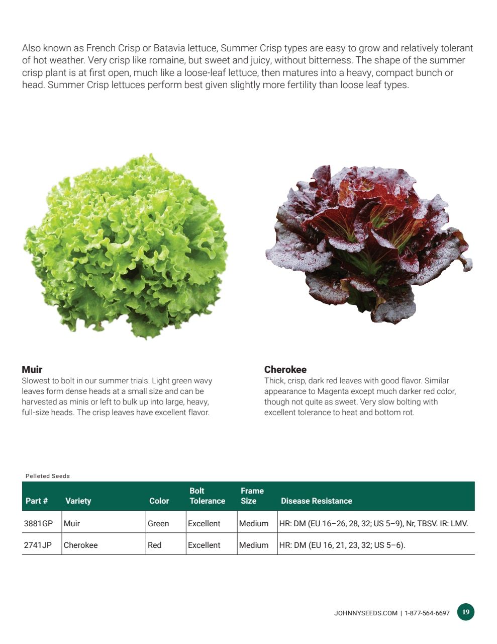 Johnny's Selected Seeds Hydroponic Head Lettuce Catalog Weekly Ad January 1 - December 31, 2026