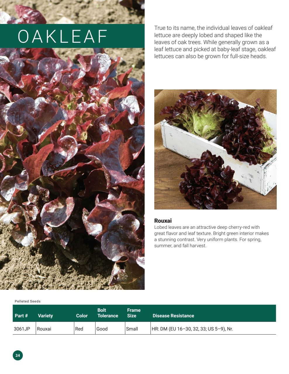 Johnny's Selected Seeds Hydroponic Head Lettuce Catalog Weekly Ad January 1 - December 31, 2026