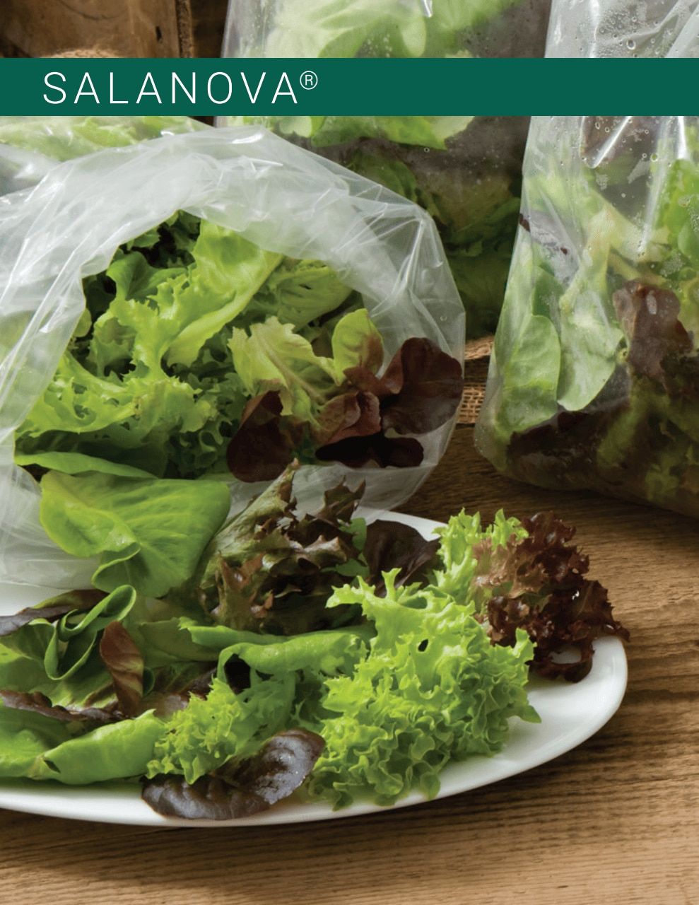 Johnny's Selected Seeds Hydroponic Head Lettuce Catalog Weekly Ad January 1 - December 31, 2026