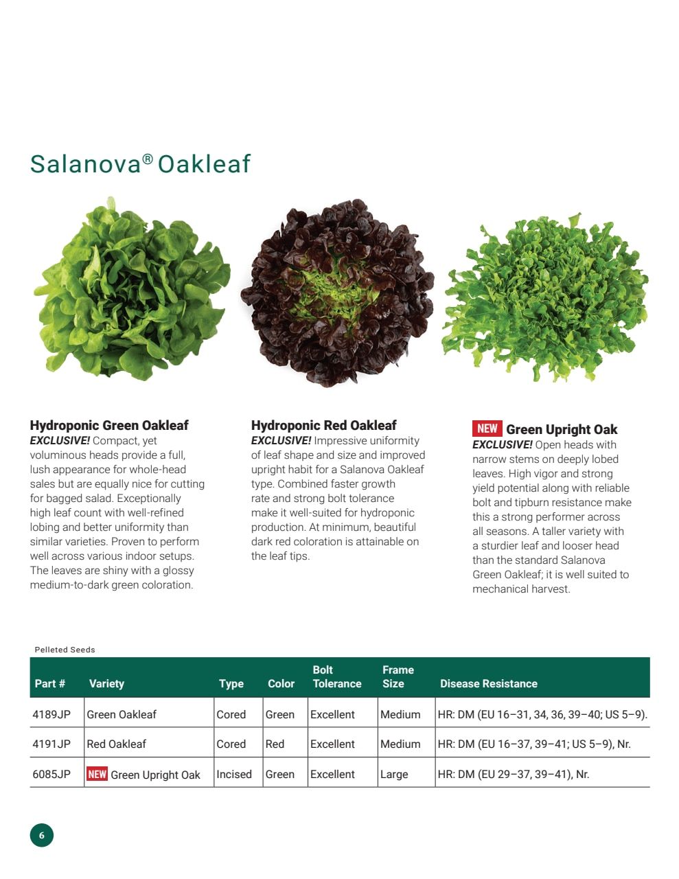 Johnny's Selected Seeds Hydroponic Head Lettuce Catalog Weekly Ad January 1 - December 31, 2026