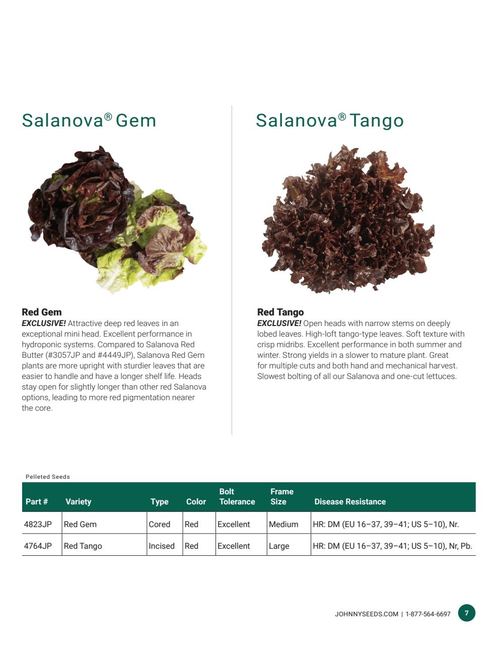 Johnny's Selected Seeds Hydroponic Head Lettuce Catalog Weekly Ad January 1 - December 31, 2026