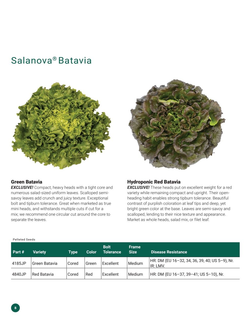 Johnny's Selected Seeds Hydroponic Head Lettuce Catalog Weekly Ad January 1 - December 31, 2026