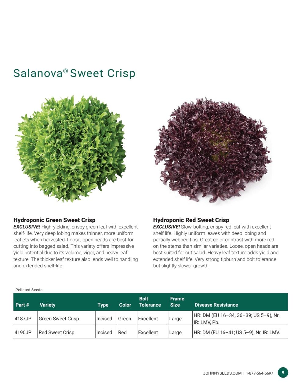 Johnny's Selected Seeds Hydroponic Head Lettuce Catalog Weekly Ad January 1 - December 31, 2026