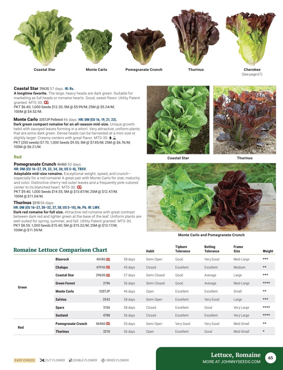 Johnny's Selected Seeds Master Catalog Weekly Ad January 1 - December 31, 2026
