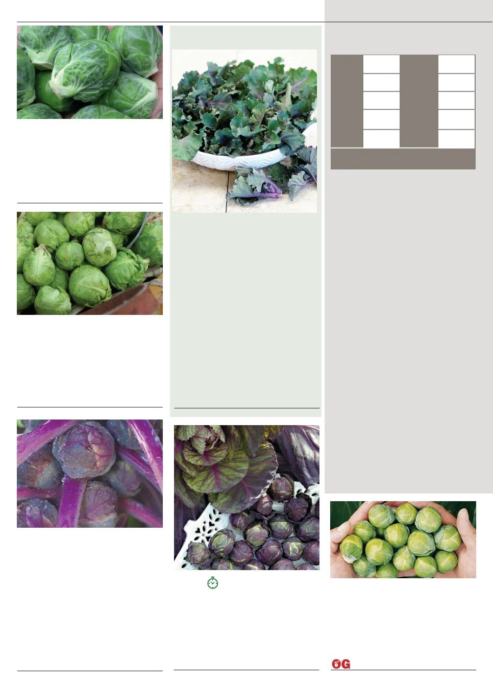 Territorial Seed Fall and Winter Catalog Weekly Ad July 1, 2026 - March 31, 2027