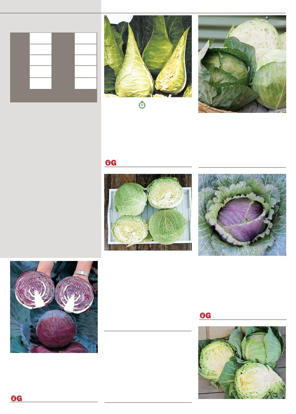 Territorial Seed Fall and Winter Catalog Weekly Ad July 1, 2026 - March 31, 2027