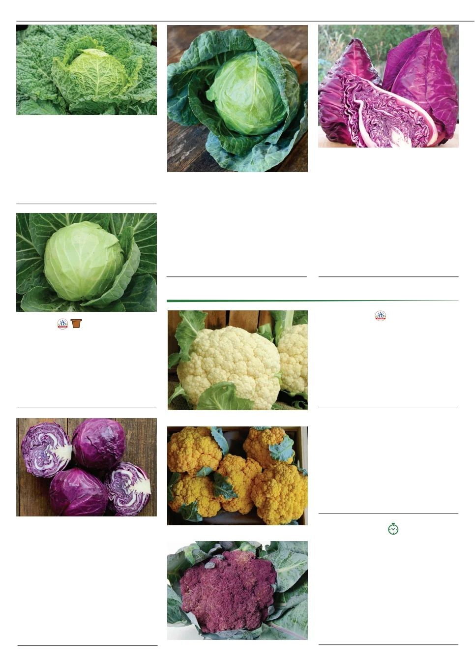 Territorial Seed Fall and Winter Catalog Weekly Ad July 1, 2026 - March 31, 2027