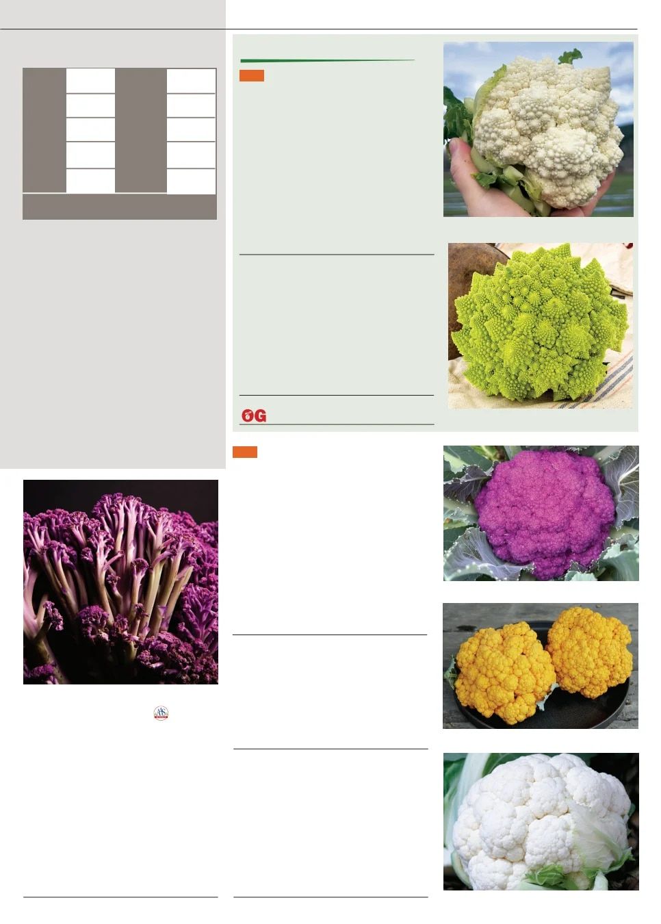 Territorial Seed Fall and Winter Catalog Weekly Ad July 1, 2026 - March 31, 2027