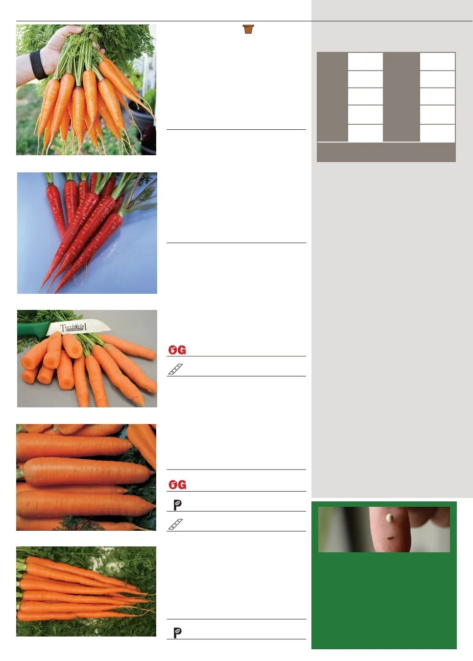 Territorial Seed Fall and Winter Catalog Weekly Ad July 1, 2026 - March 31, 2027