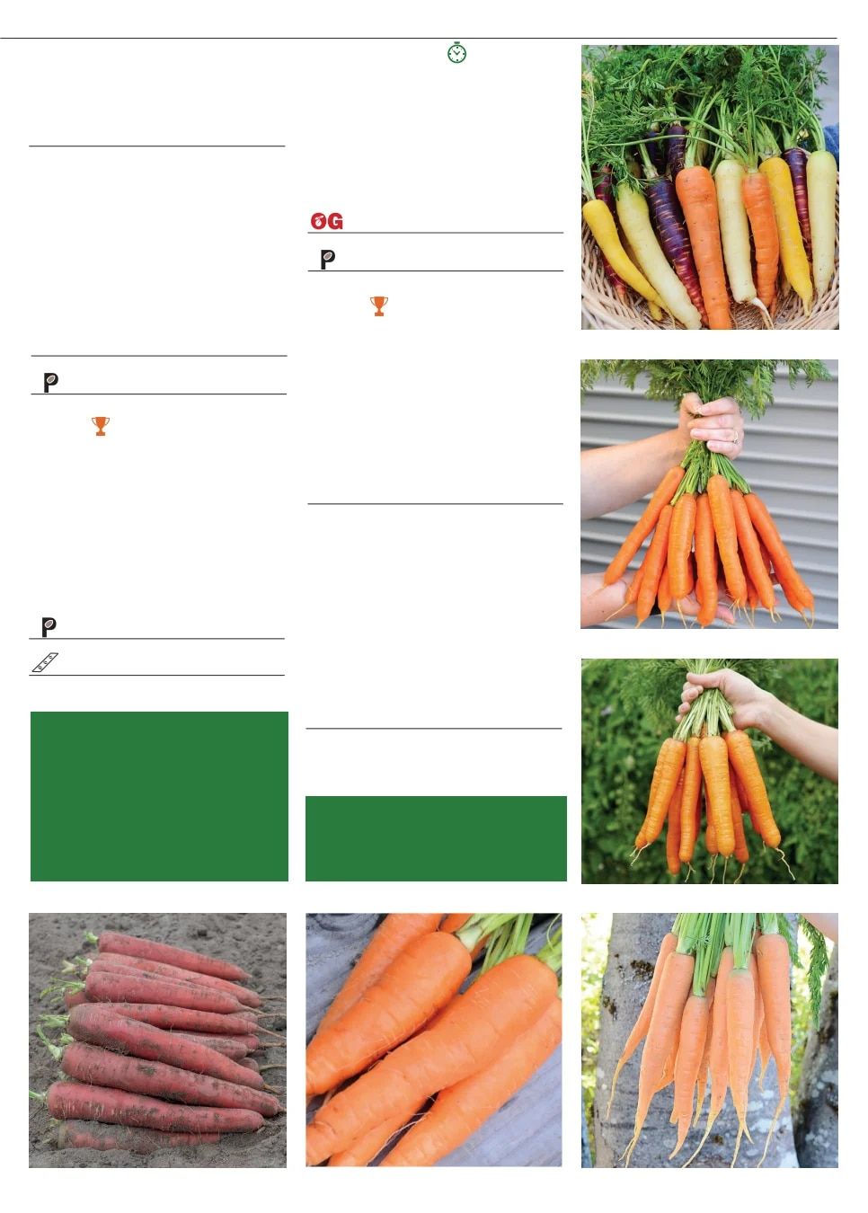 Territorial Seed Fall and Winter Catalog Weekly Ad July 1, 2026 - March 31, 2027