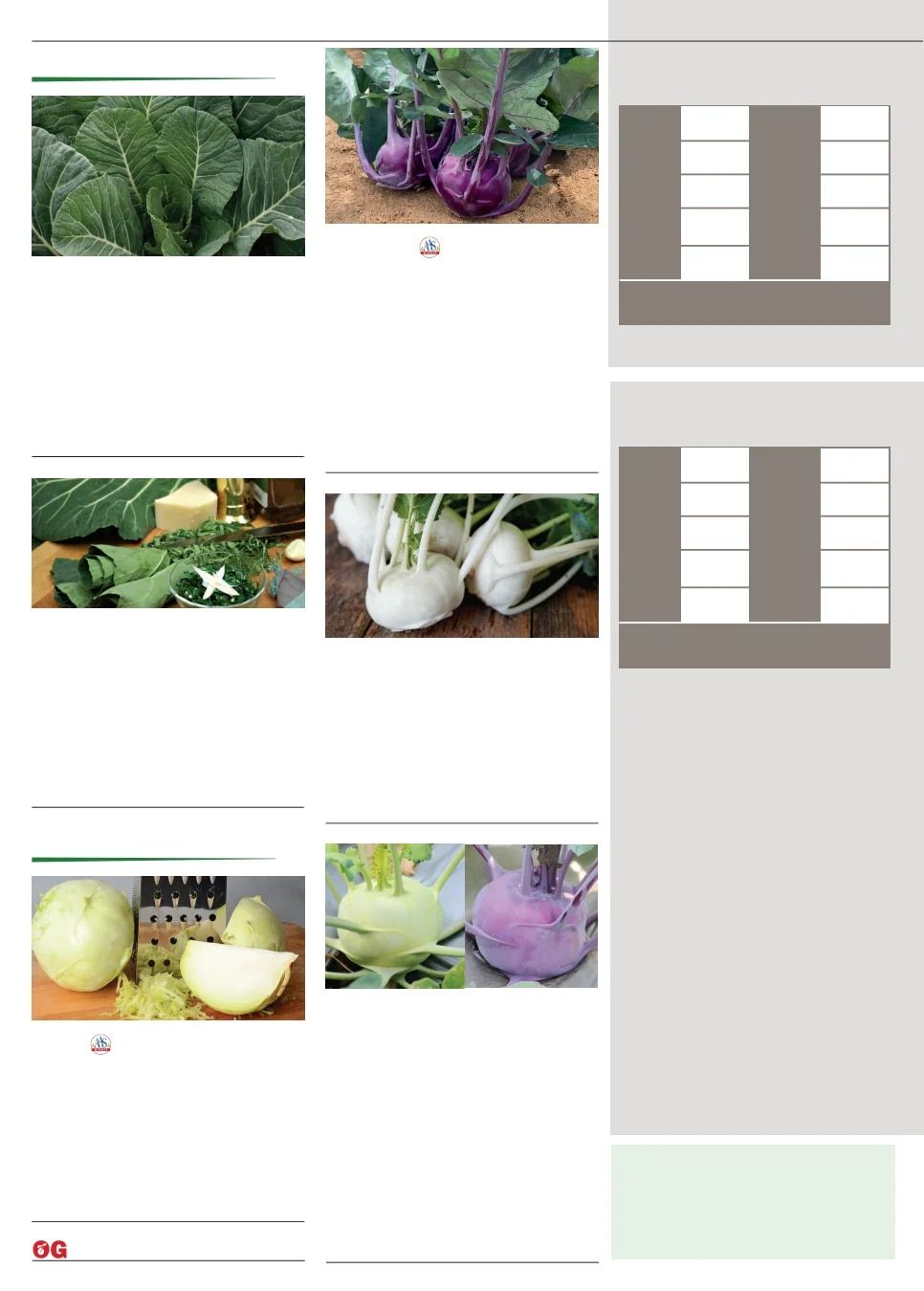 Territorial Seed Fall and Winter Catalog Weekly Ad July 1, 2026 - March 31, 2027