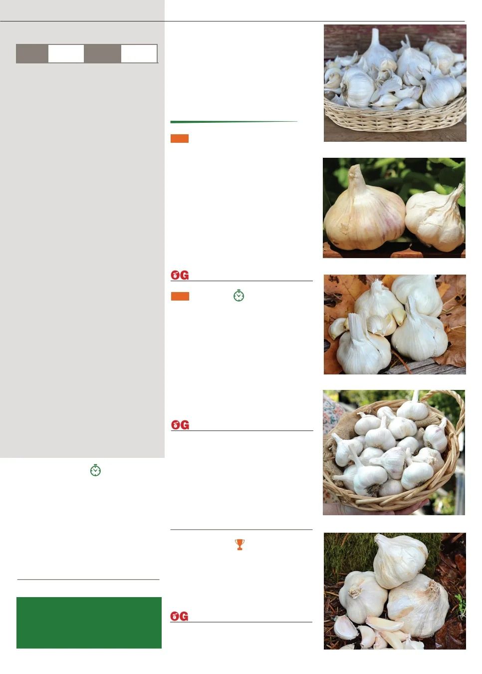 Territorial Seed Fall and Winter Catalog Weekly Ad July 1, 2026 - March 31, 2027