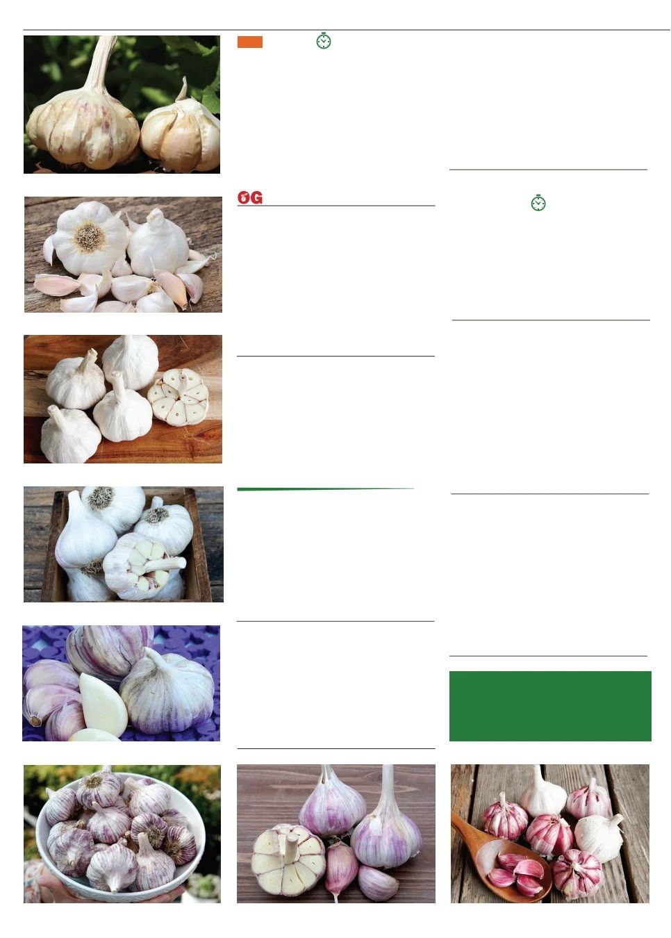 Territorial Seed Fall and Winter Catalog Weekly Ad July 1, 2026 - March 31, 2027
