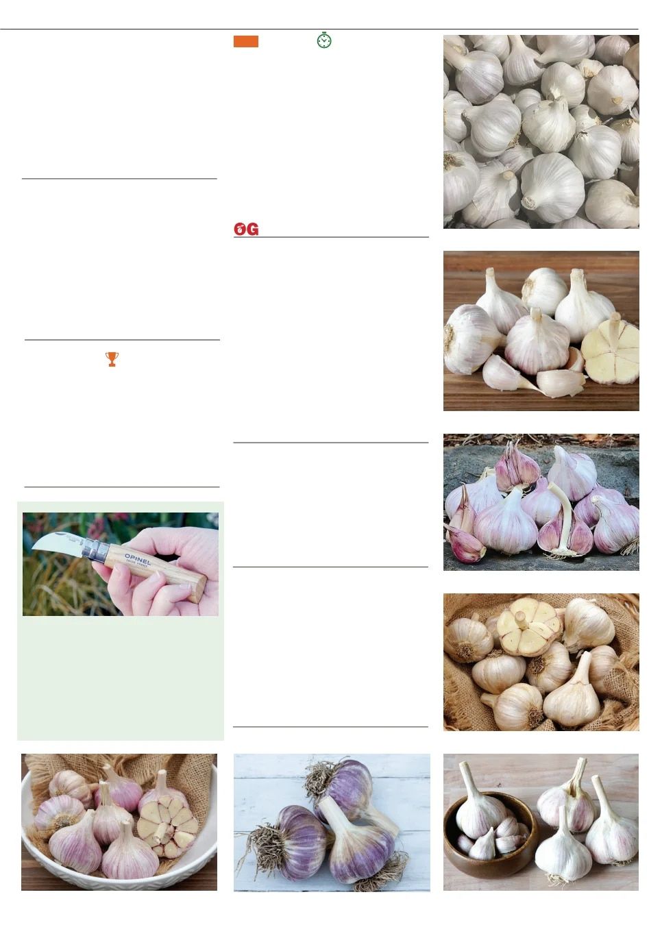 Territorial Seed Fall and Winter Catalog Weekly Ad July 1, 2026 - March 31, 2027