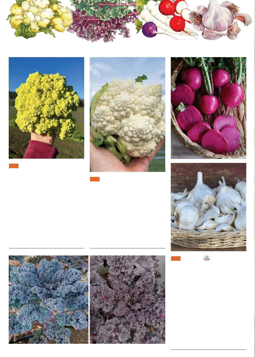 Territorial Seed Fall and Winter Catalog Weekly Ad July 1, 2026 - March 31, 2027