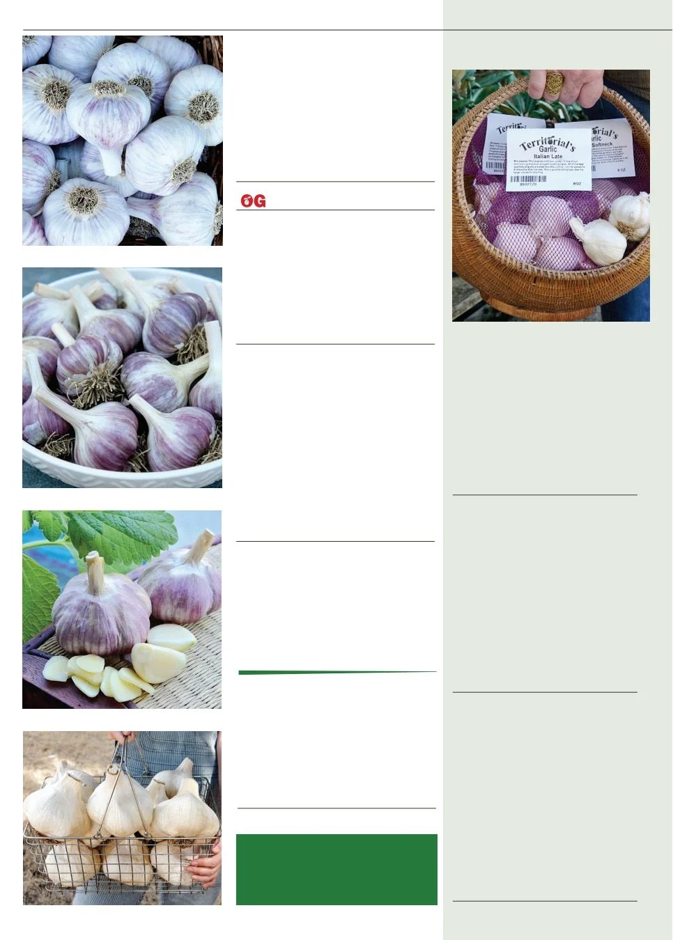 Territorial Seed Fall and Winter Catalog Weekly Ad July 1, 2026 - March 31, 2027