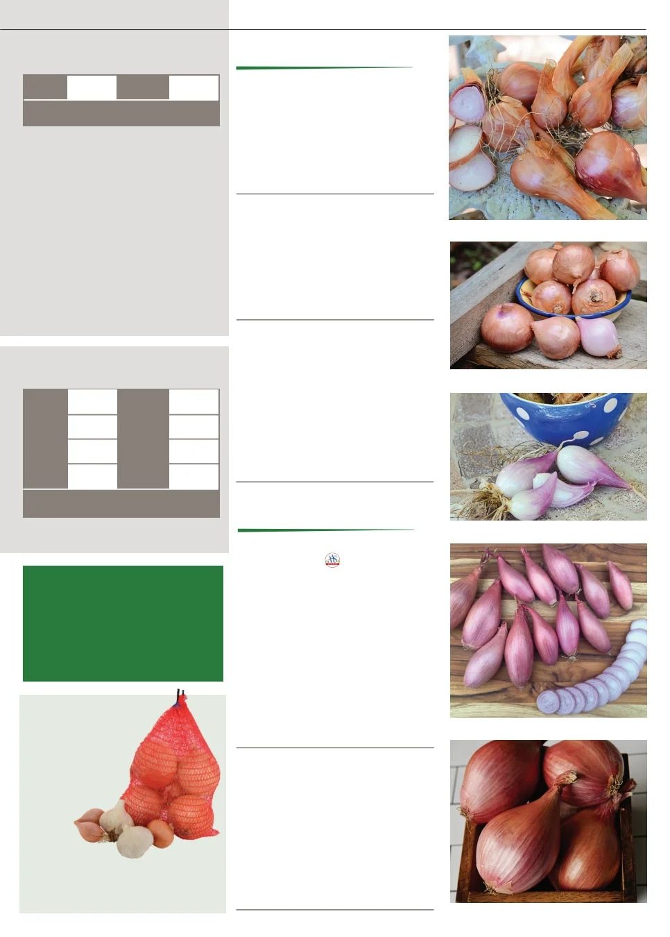 Territorial Seed Fall and Winter Catalog Weekly Ad July 1, 2026 - March 31, 2027