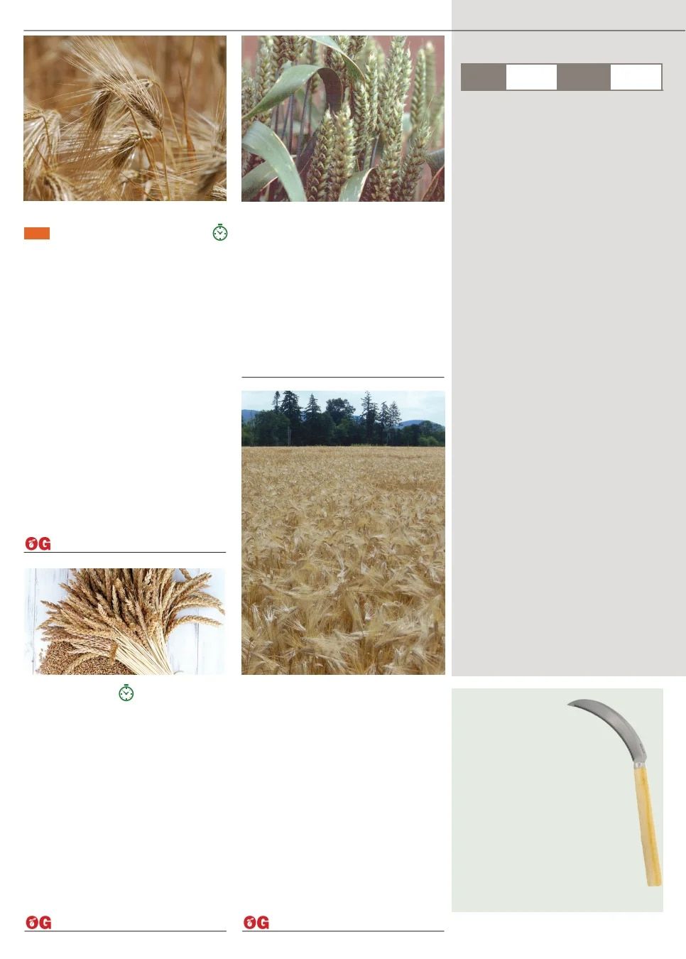 Territorial Seed Fall and Winter Catalog Weekly Ad July 1, 2026 - March 31, 2027