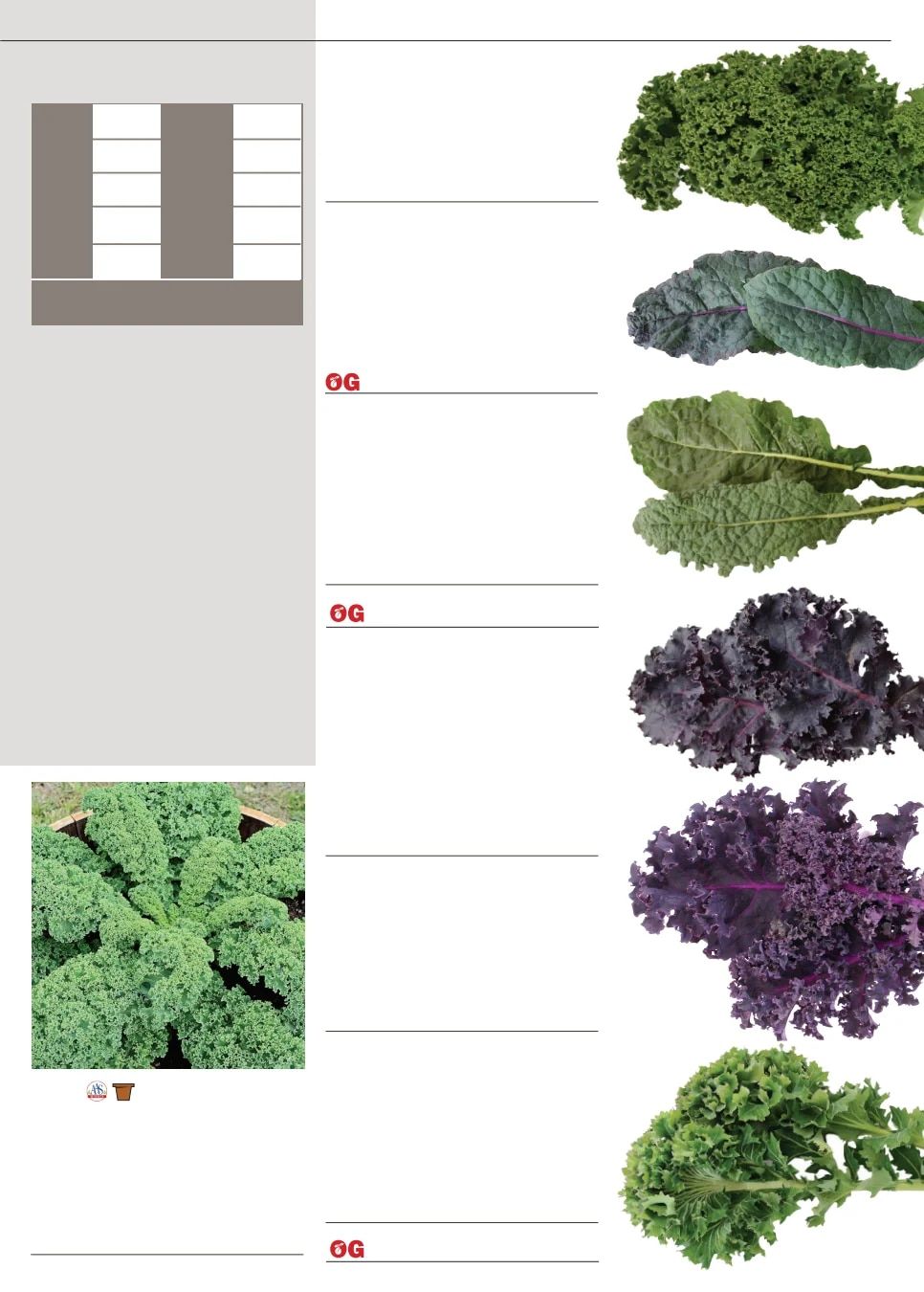 Territorial Seed Fall and Winter Catalog Weekly Ad July 1, 2026 - March 31, 2027