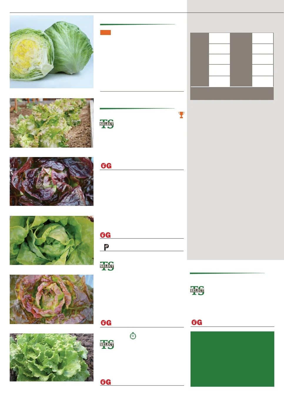 Territorial Seed Fall and Winter Catalog Weekly Ad July 1, 2026 - March 31, 2027