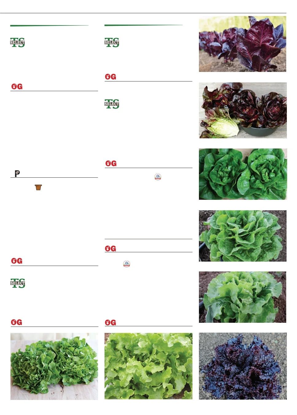 Territorial Seed Fall and Winter Catalog Weekly Ad July 1, 2026 - March 31, 2027