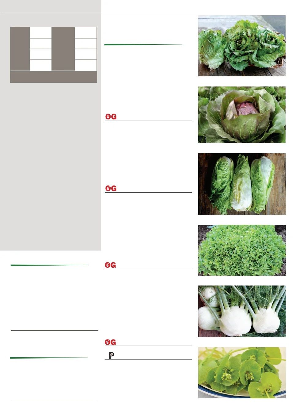 Territorial Seed Fall and Winter Catalog Weekly Ad July 1, 2026 - March 31, 2027