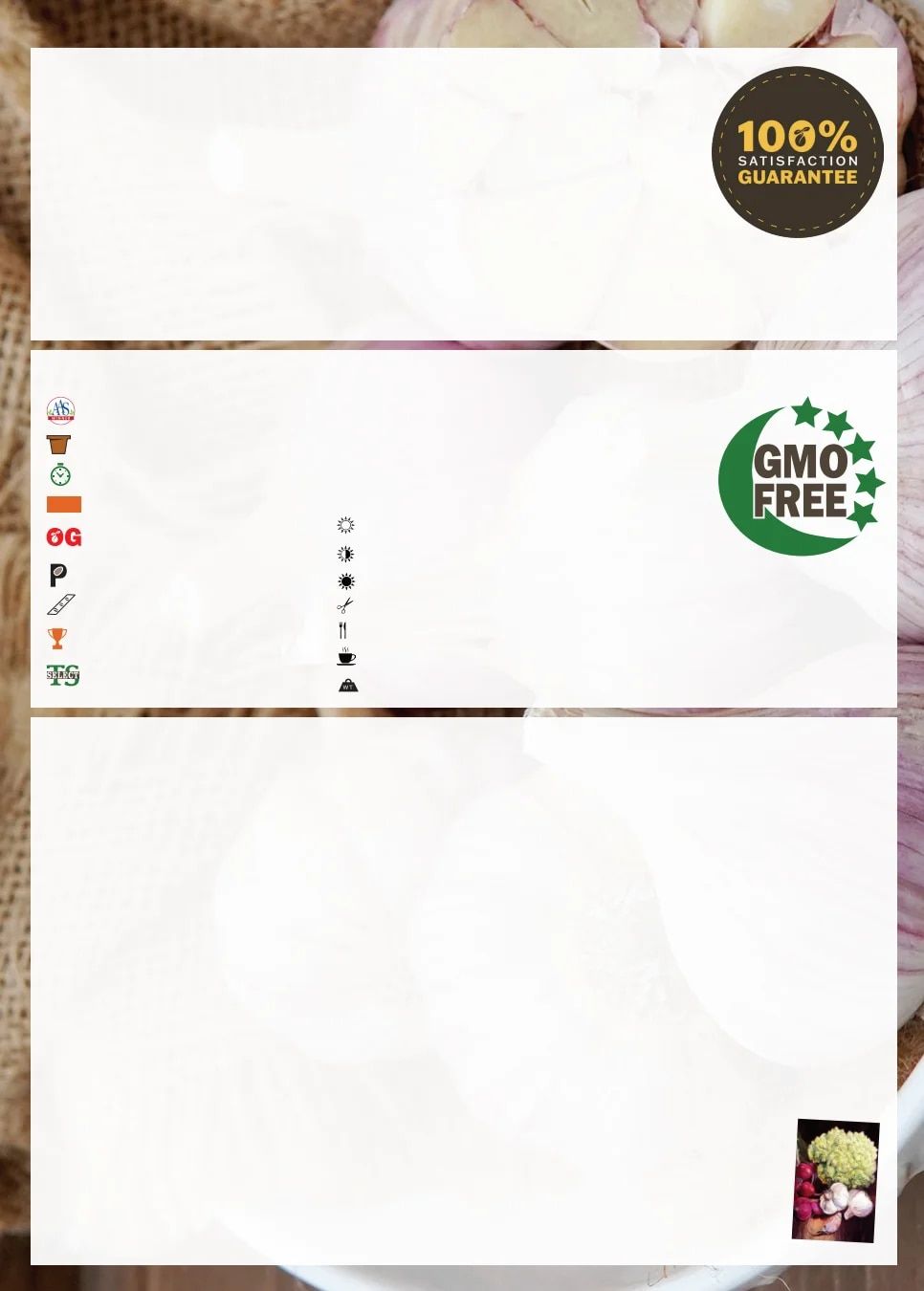 Territorial Seed Fall and Winter Catalog Weekly Ad July 1, 2026 - March 31, 2027