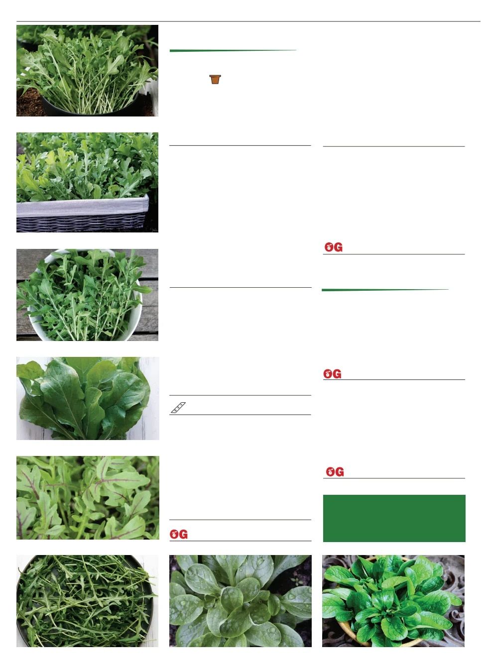 Territorial Seed Fall and Winter Catalog Weekly Ad July 1, 2026 - March 31, 2027