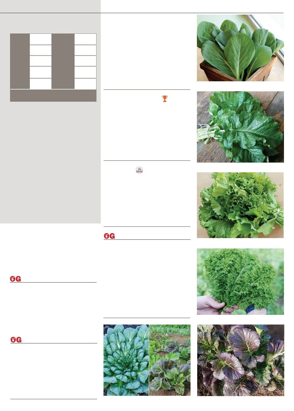 Territorial Seed Fall and Winter Catalog Weekly Ad July 1, 2026 - March 31, 2027