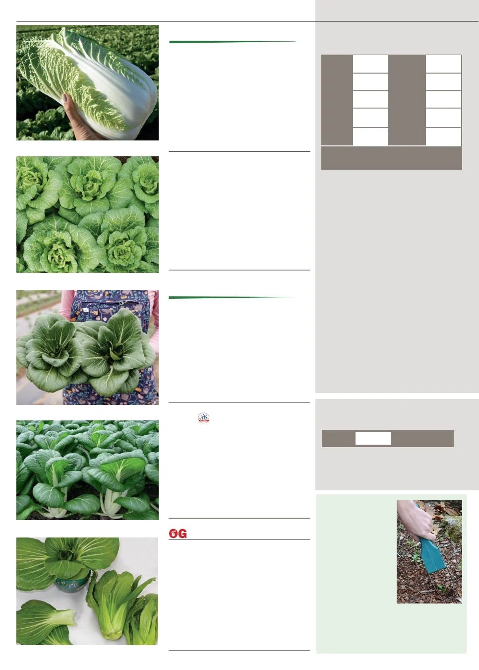 Territorial Seed Fall and Winter Catalog Weekly Ad July 1, 2026 - March 31, 2027