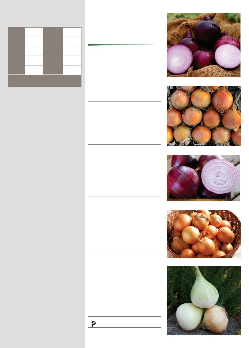 Territorial Seed Fall and Winter Catalog Weekly Ad July 1, 2026 - March 31, 2027