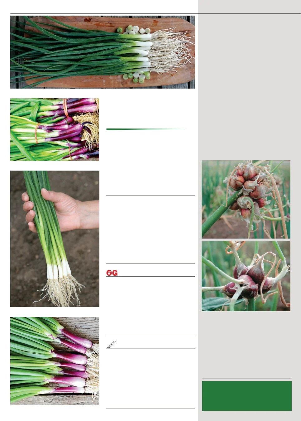 Territorial Seed Fall and Winter Catalog Weekly Ad July 1, 2026 - March 31, 2027