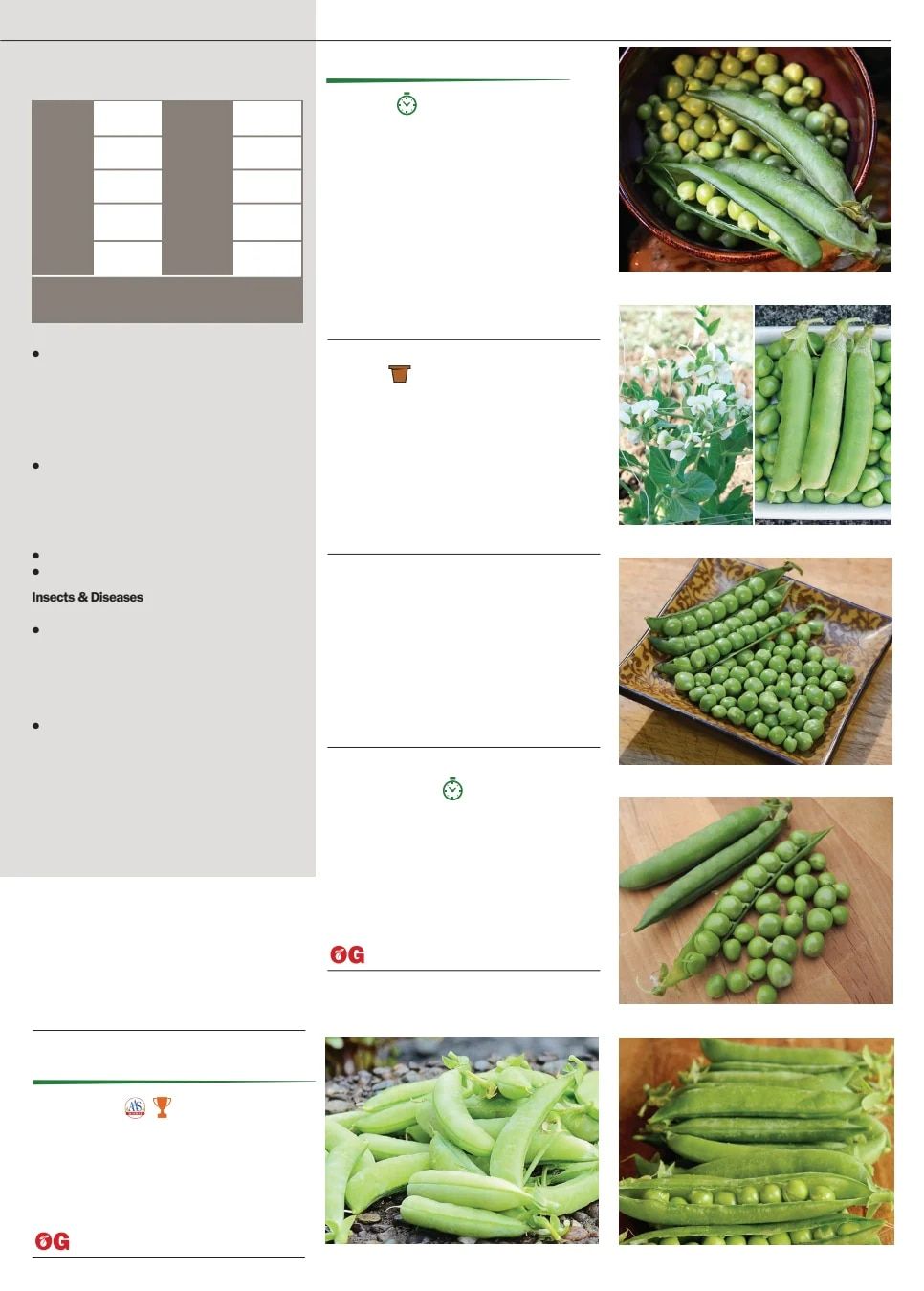 Territorial Seed Fall and Winter Catalog Weekly Ad July 1, 2026 - March 31, 2027