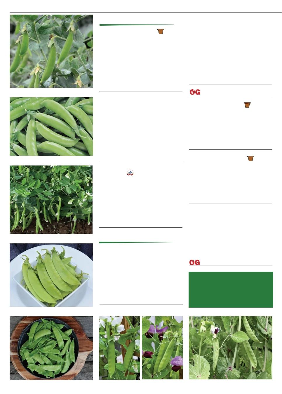 Territorial Seed Fall and Winter Catalog Weekly Ad July 1, 2026 - March 31, 2027