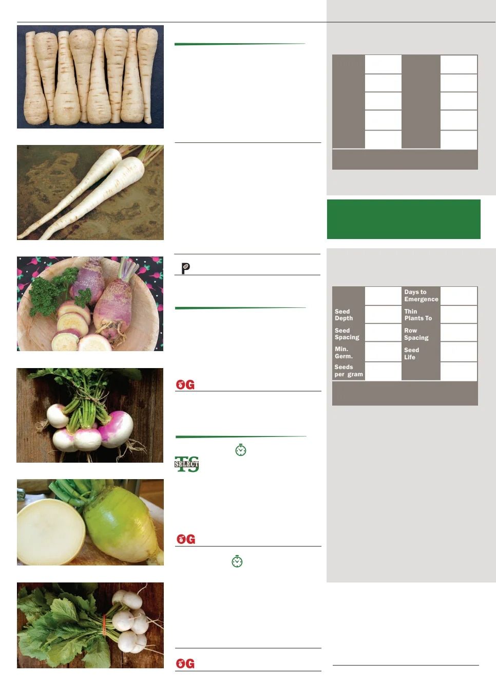Territorial Seed Fall and Winter Catalog Weekly Ad July 1, 2026 - March 31, 2027